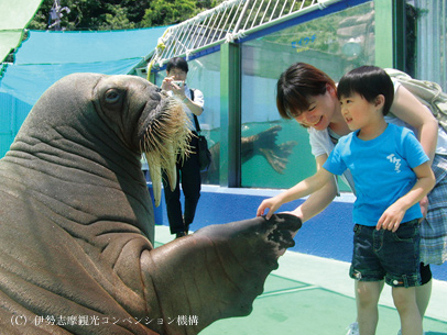 二見シーパラダイス